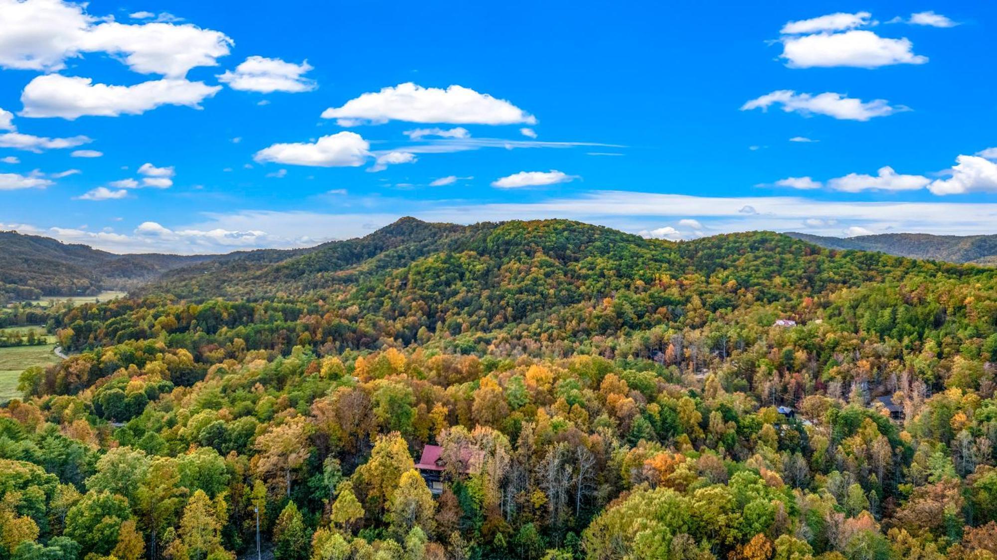 Relaxation Retreat - Pickleball Cabin - Wi-Fi, Fire Pit With Bar, Game Room, Hot Tub, Pool Access - Mins To Pf Sevierville Exteriér fotografie